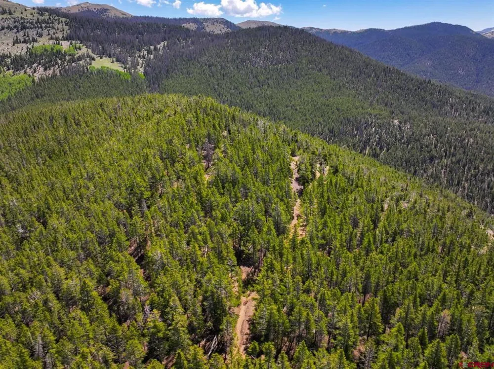 White Pine Upper Tomichi Gunnison, CO 81230