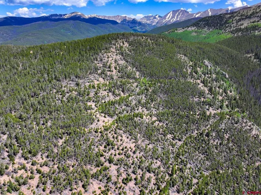 White Pine Upper Tomichi Gunnison, CO 81230