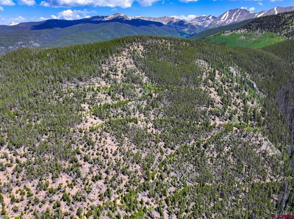 White Pine Upper Tomichi Gunnison, CO 81230