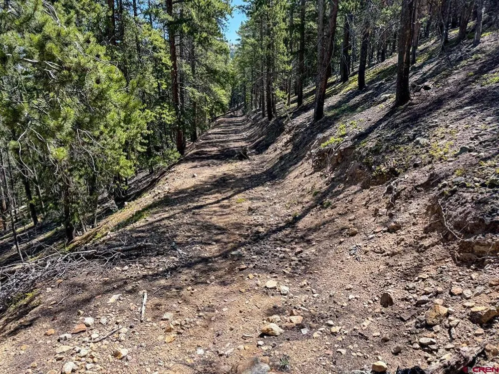 White Pine Upper Tomichi Gunnison, CO 81230