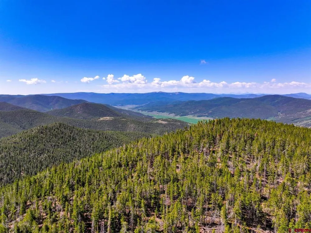 White Pine Upper Tomichi Gunnison, CO 81230