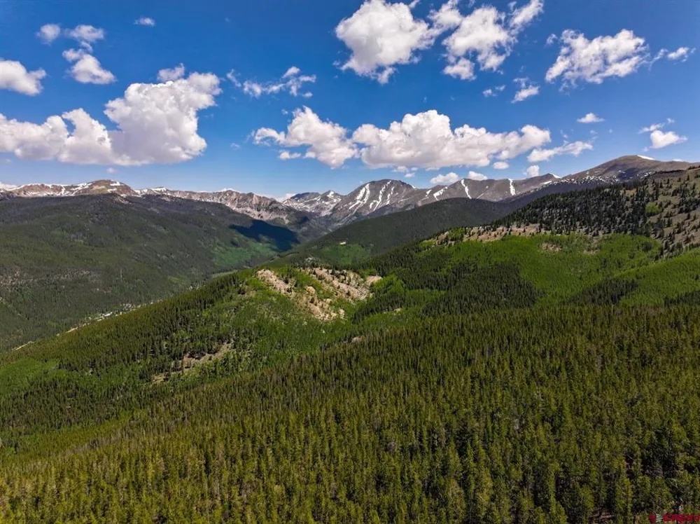 White Pine Upper Tomichi Gunnison, CO 81230