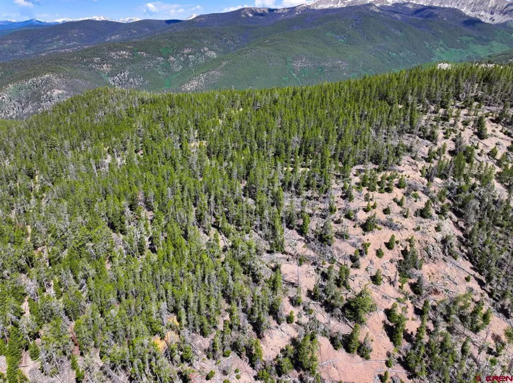 White Pine Upper Tomichi Gunnison, CO 81230