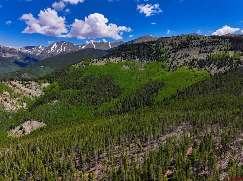 White Pine Upper Tomichi Gunnison, CO 81230