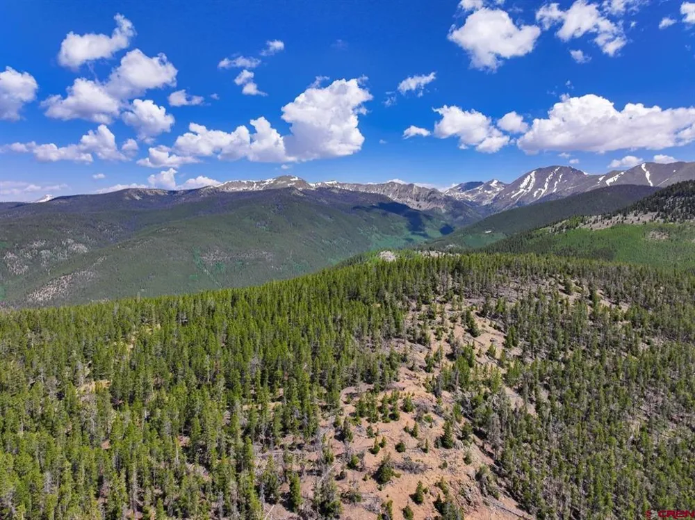 White Pine Upper Tomichi Gunnison, CO 81230