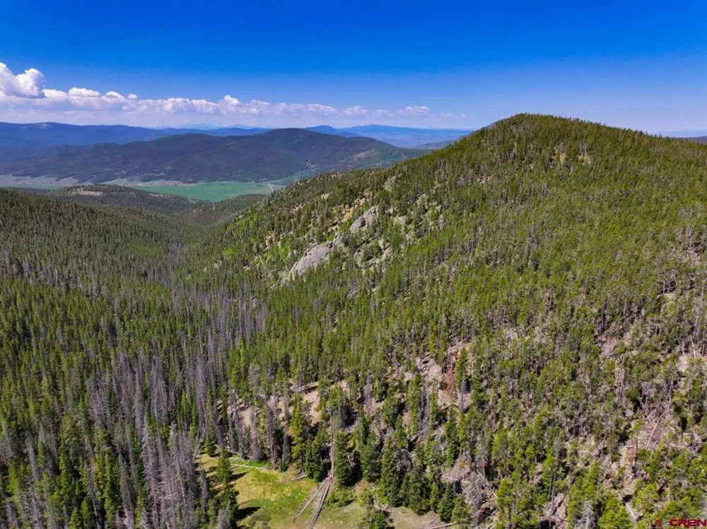 White Pine Upper Tomichi Gunnison, CO 81230