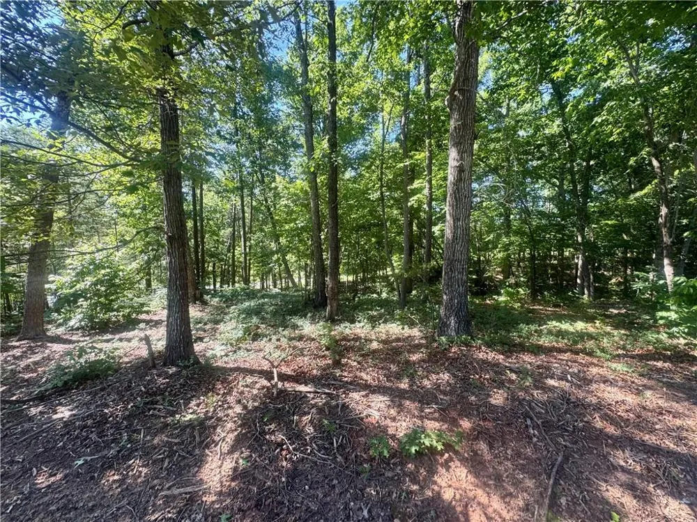0 TEEL MOUNTAIN DR Cleveland, GA 30528