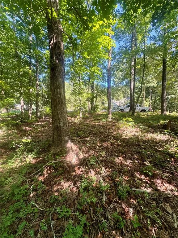 0 TEEL MOUNTAIN DR Cleveland, GA 30528