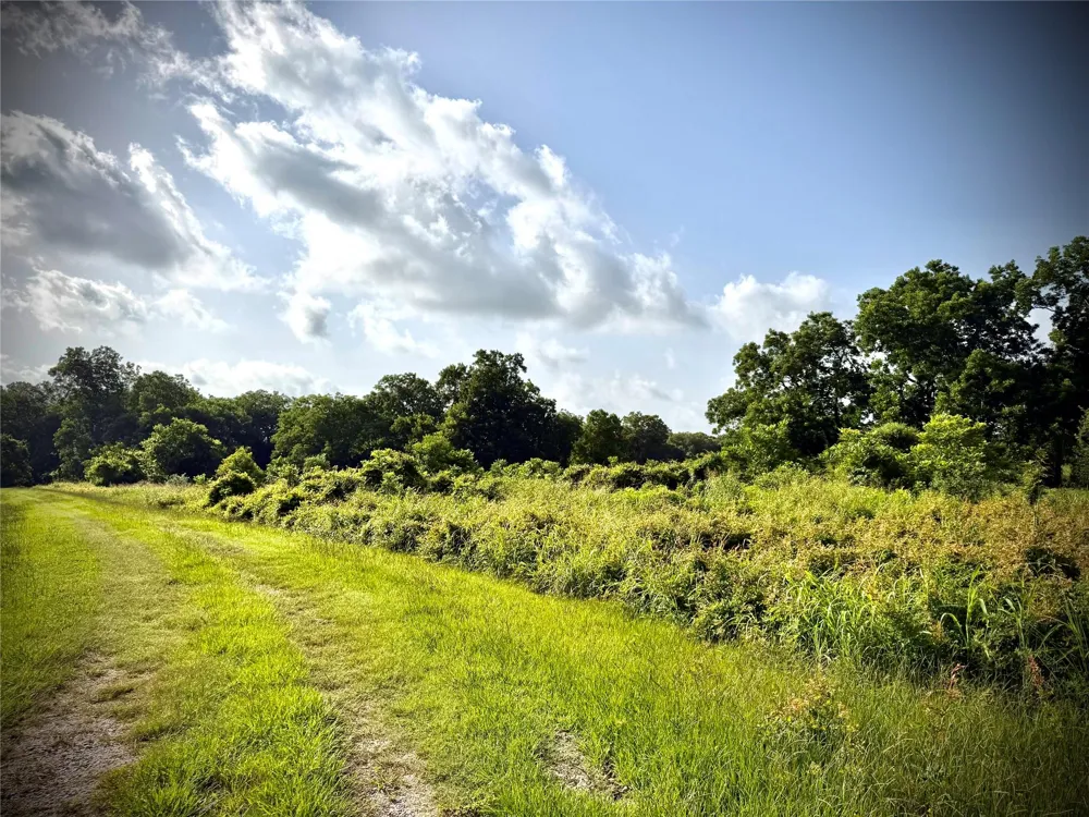 Fm 442 Boling, TX 77420