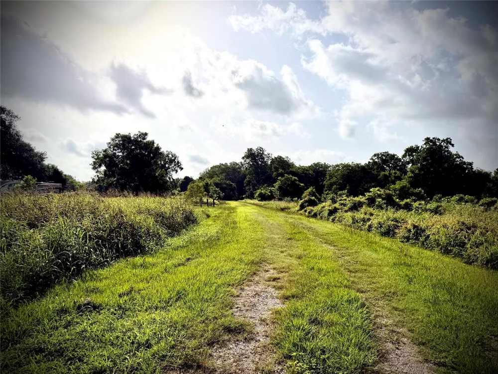 Fm 442 Boling, TX 77420