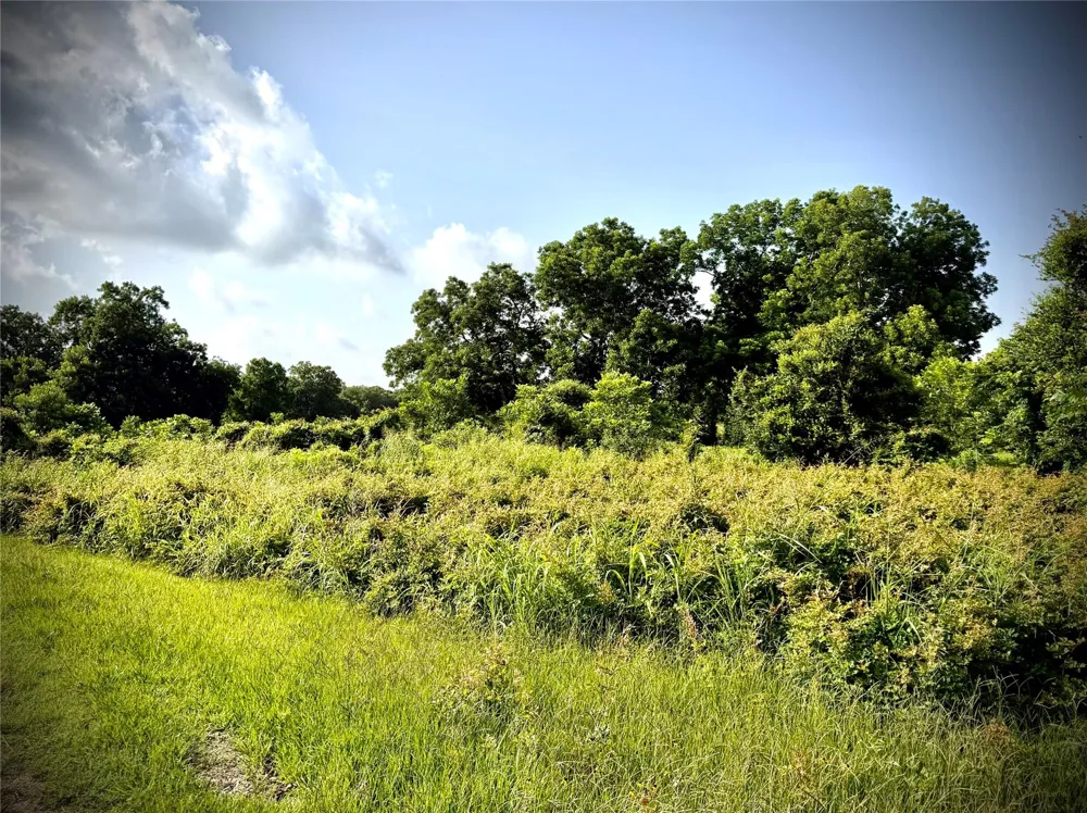 Fm 442 Boling, TX 77420