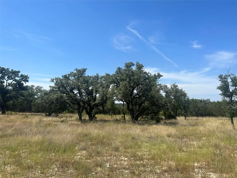 PR 4219 Lot 94 Evant, TX 76525