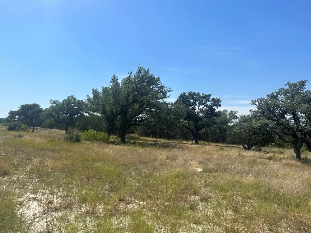 PR 4219 Lot 94 Evant, TX 76525