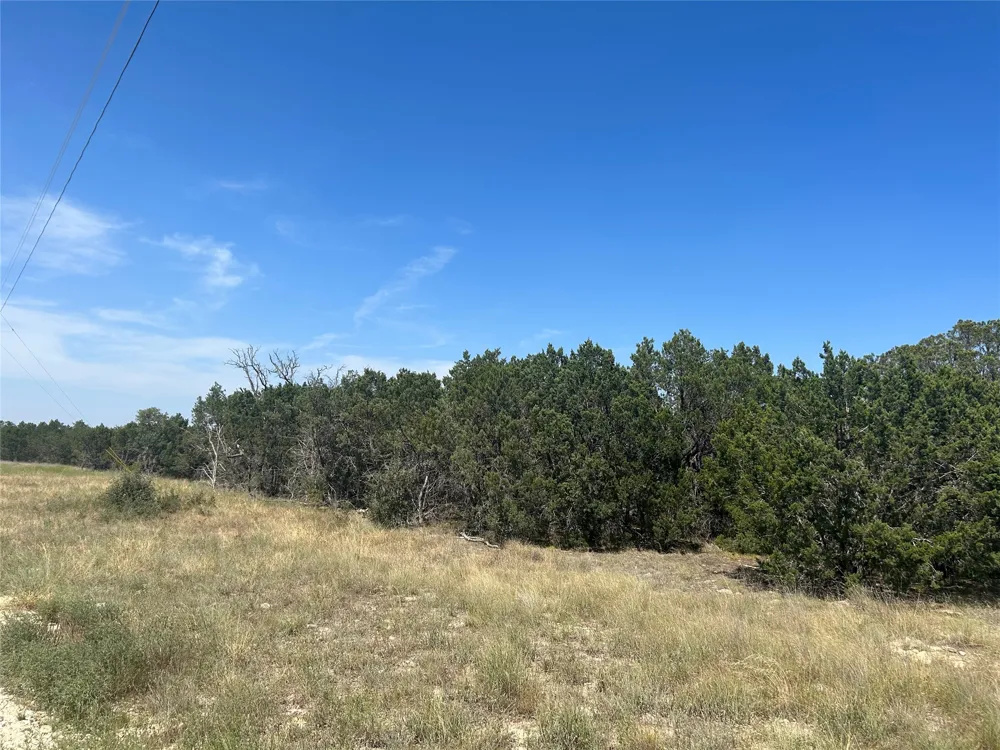 PR 4219 Lot 94 Evant, TX 76525