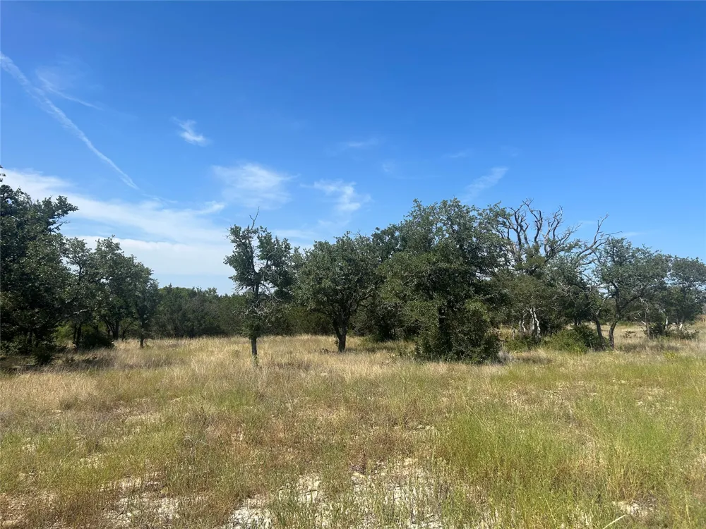 PR 4219 Lot 94 Evant, TX 76525