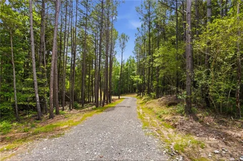 Lot 1 Pete Path