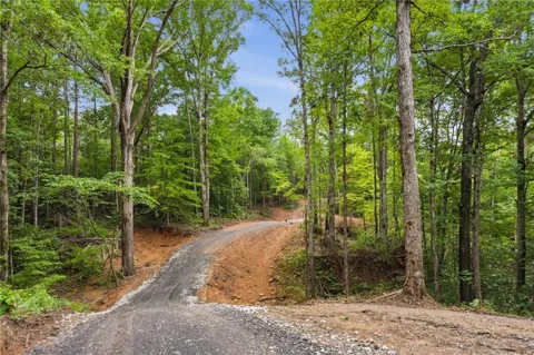 Lot 2 Pete Path