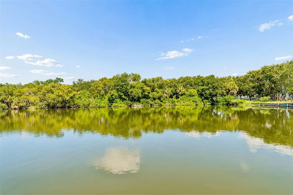 725 DEL ORO DRIVE Safety Harbor, FL 34695