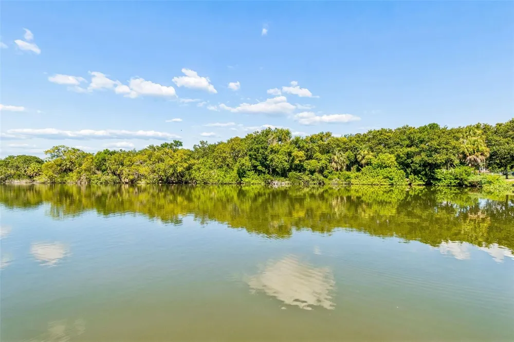 725 DEL ORO DRIVE Safety Harbor, FL 34695