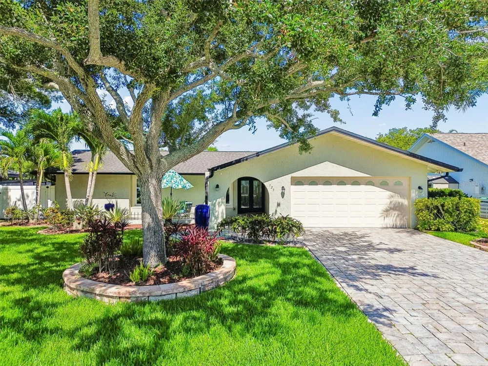 725 DEL ORO DRIVE Safety Harbor, FL 34695