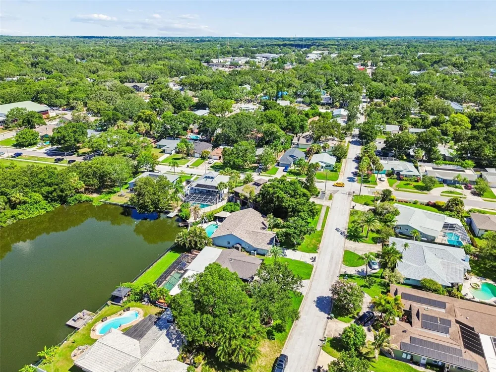 725 DEL ORO DRIVE Safety Harbor, FL 34695