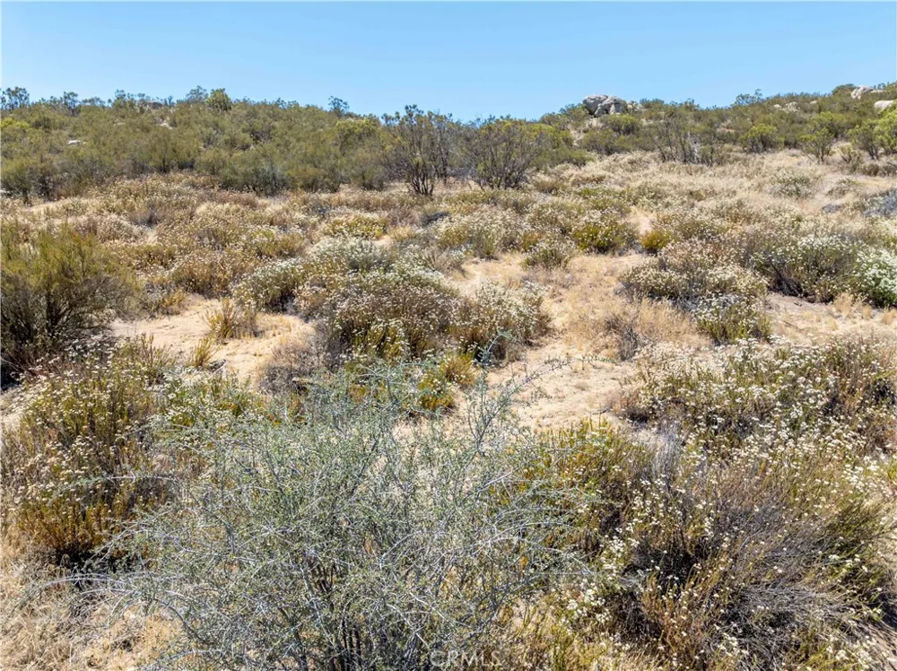 1063 Wildhorse Circle Aguanga, CA 92536
