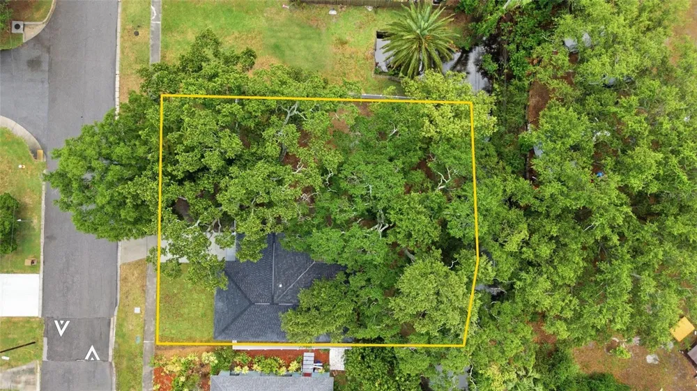 1333 OVERLEA STREET Clearwater, FL 33755
