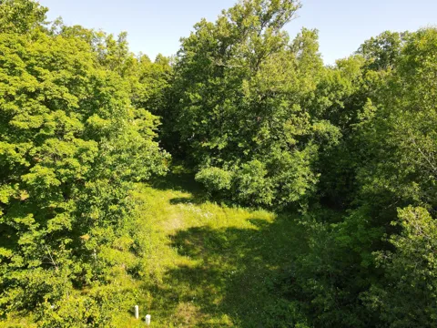 2803 Deschepper Drive