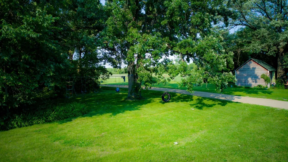 51374 330th Street New York Mills, MN 56567