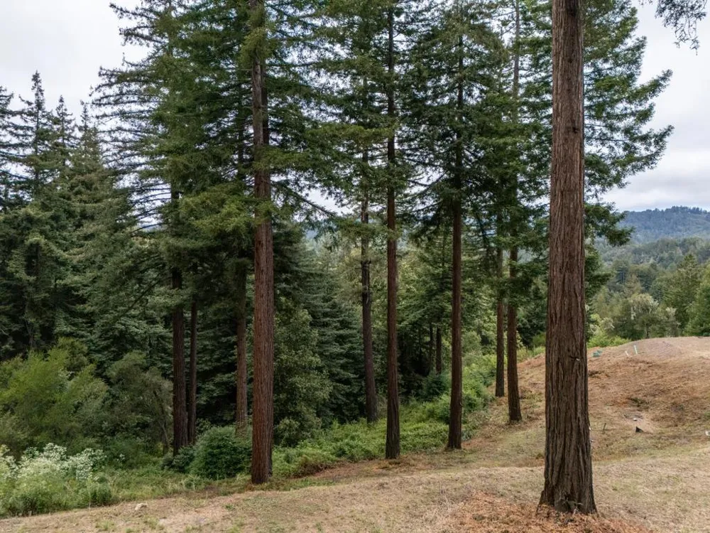 2320 Newell Drive Aptos, CA 95003