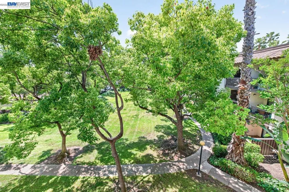 39931 Cedar Blvd #309 Newark, CA 94560