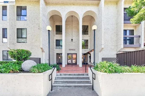 39931 Cedar Blvd #309