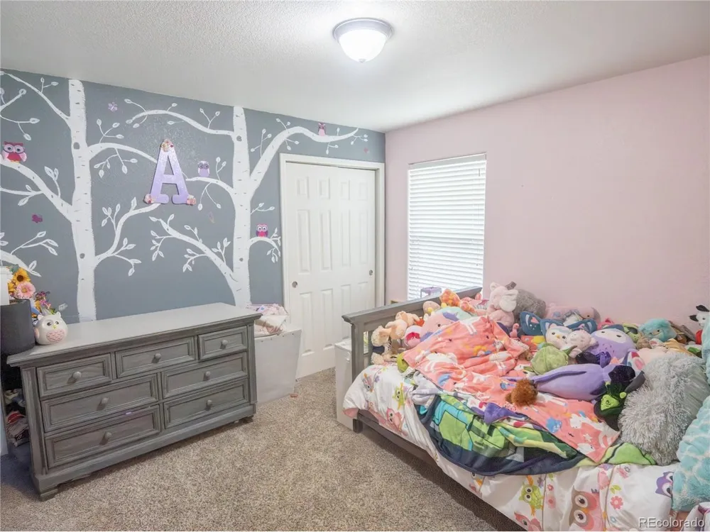 8806 Silver Glen Drive Fountain, CO 80817