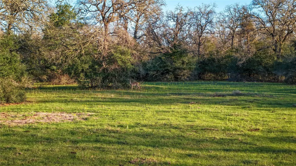 60 Jackrabbit Lane Bryan, TX 77808