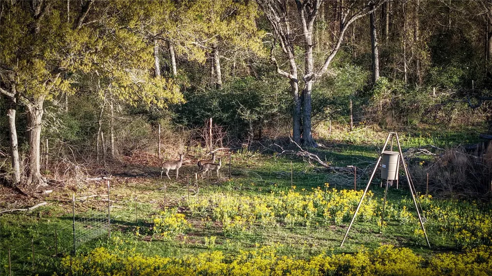 60 Jackrabbit Lane Bryan, TX 77808