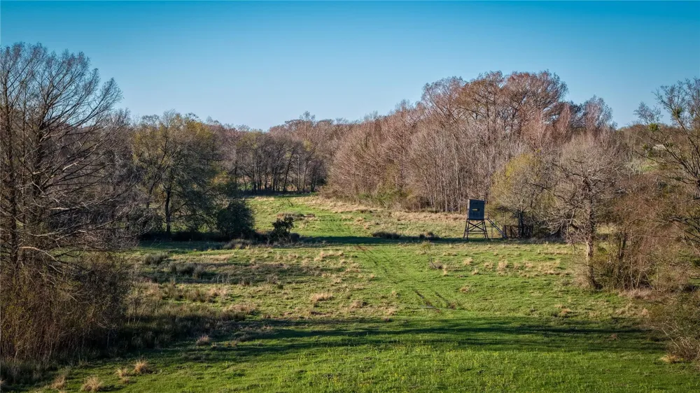 60 Jackrabbit Lane Bryan, TX 77808
