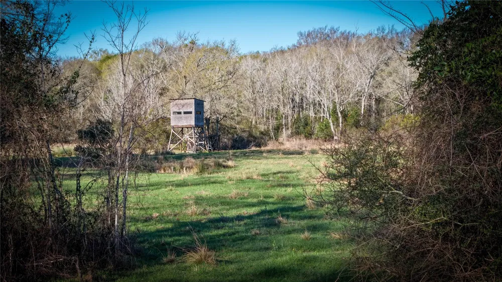 60 Jackrabbit Lane Bryan, TX 77808