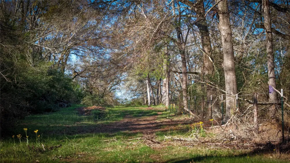 60 Jackrabbit Lane Bryan, TX 77808