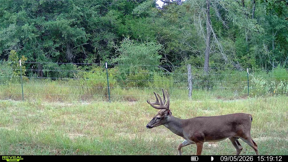 60 Jackrabbit Lane Bryan, TX 77808