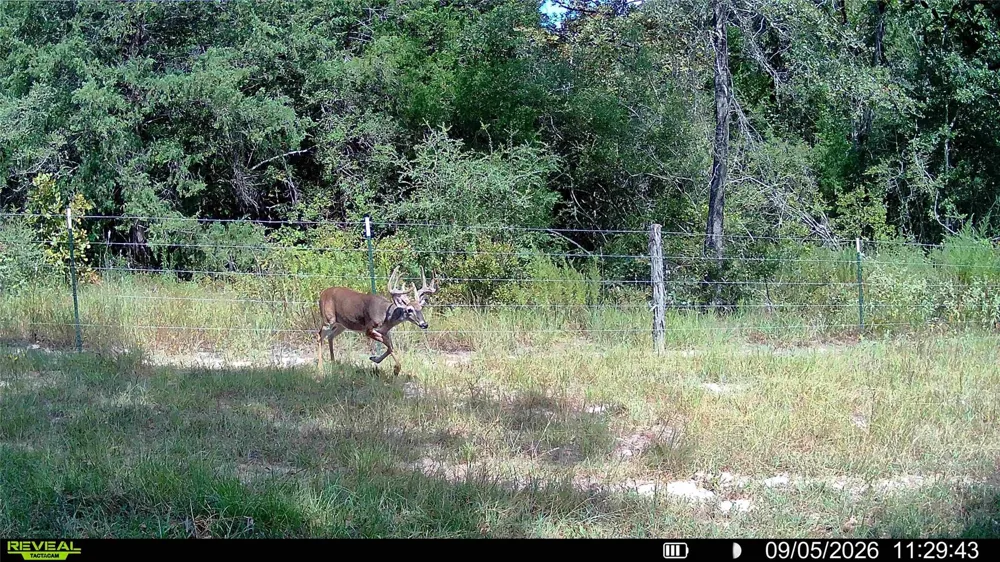 60 Jackrabbit Lane Bryan, TX 77808