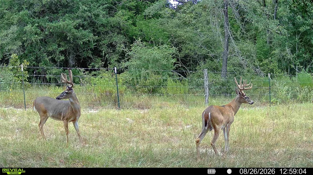 60 Jackrabbit Lane Bryan, TX 77808