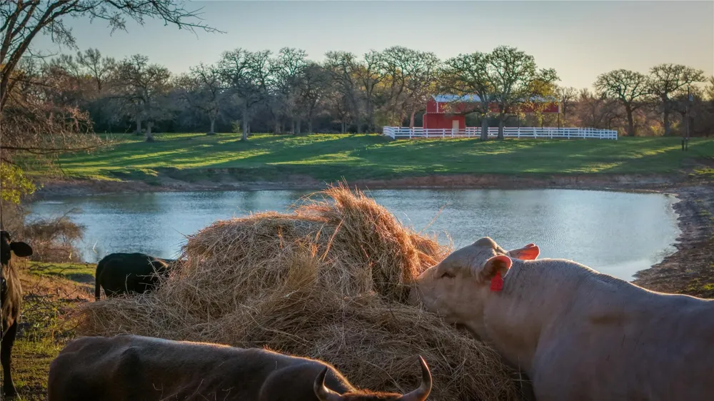 60 Jackrabbit Lane Bryan, TX 77808