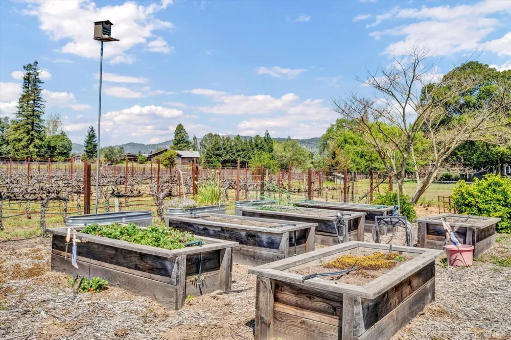 1790 Mckinley Road Napa, CA 94558