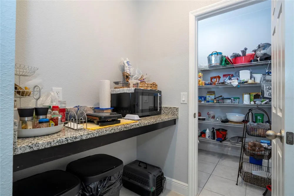 14031 PICARD ALLEY Winter Garden, FL 34787