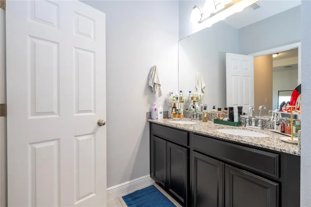 14031 PICARD ALLEY Winter Garden, FL 34787