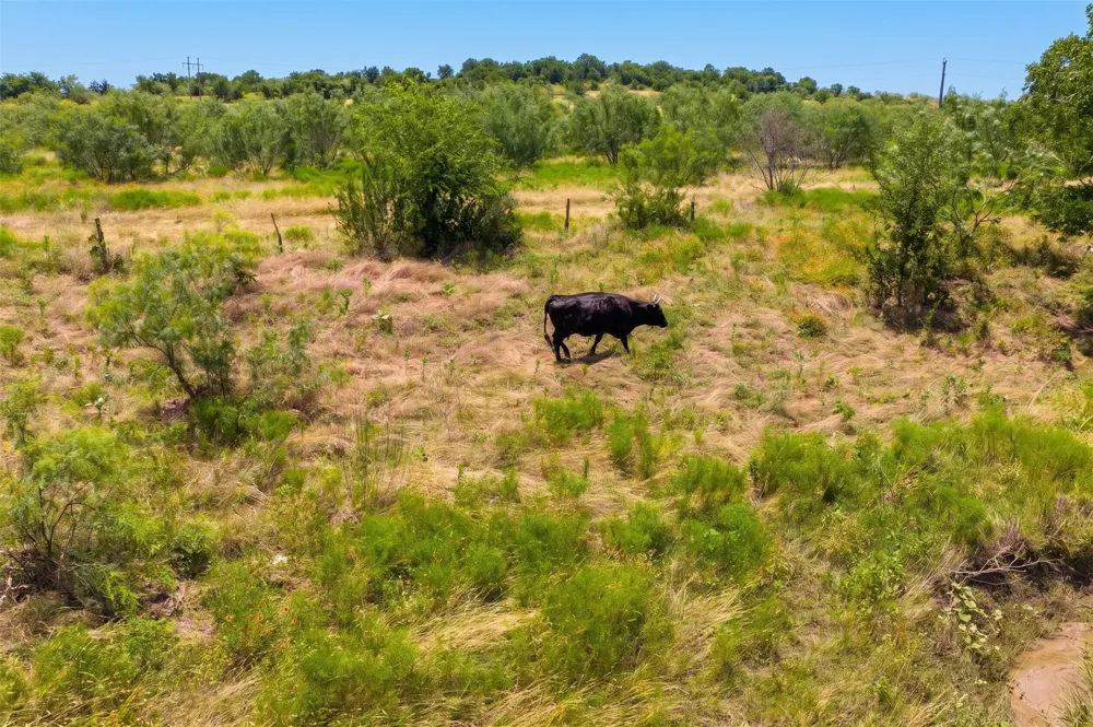 1854 County Road 104 Buckholts, TX 76518