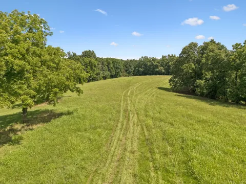7700 Daugherty Capley Rd