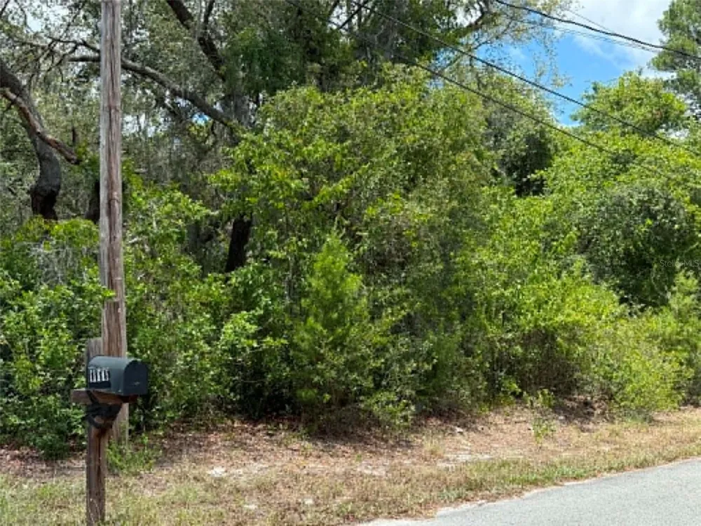 10051 WADDELL STREET New Port Richey, FL 34654
