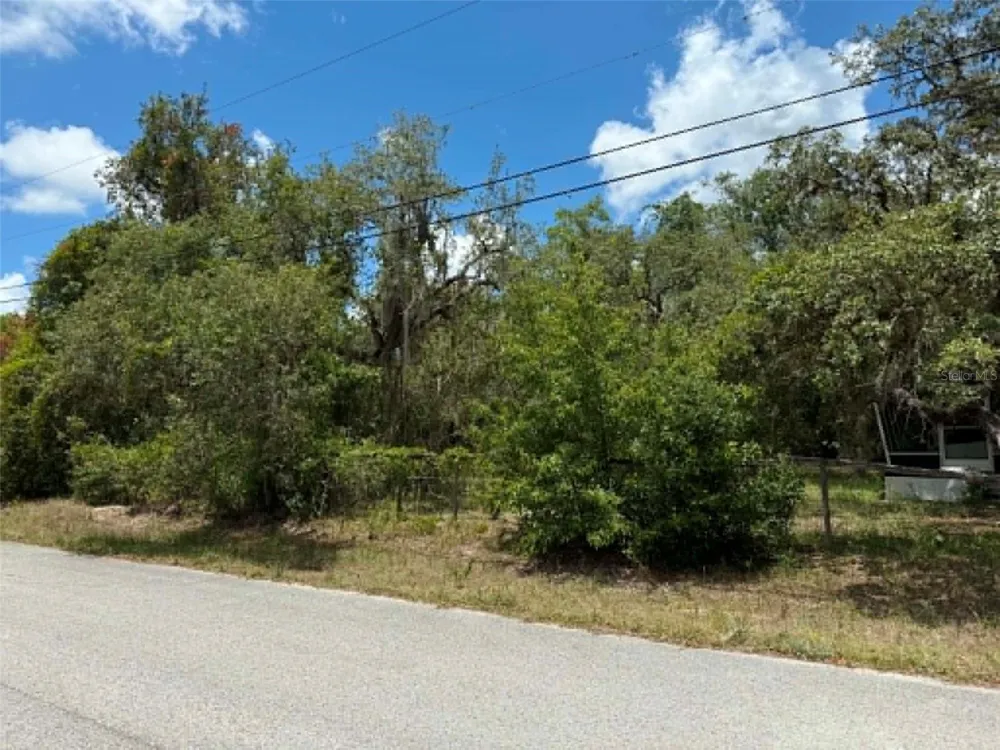 10051 WADDELL STREET New Port Richey, FL 34654