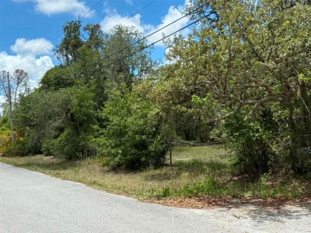 10051 WADDELL STREET New Port Richey, FL 34654